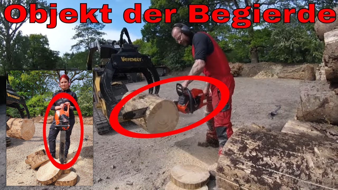 Das Objekt der Begierde | Baumpflege Mertens