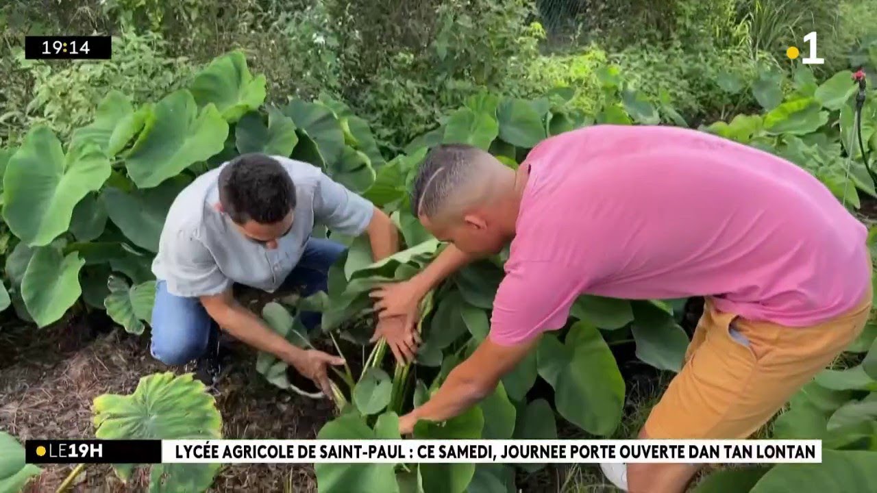 Journée porte ouverte au lycée agricole de Saint-Paul ce samedi