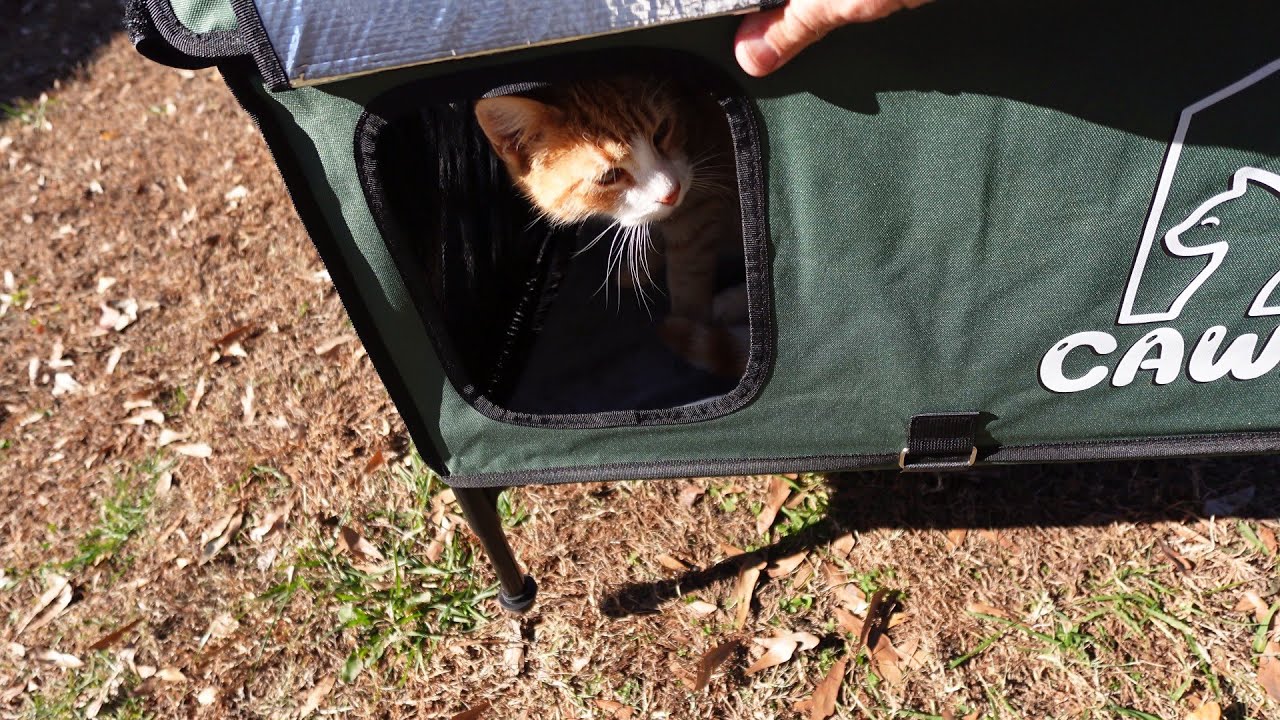 Elevated Heated Cat House for Outdoor Cats - Unboxing/Review