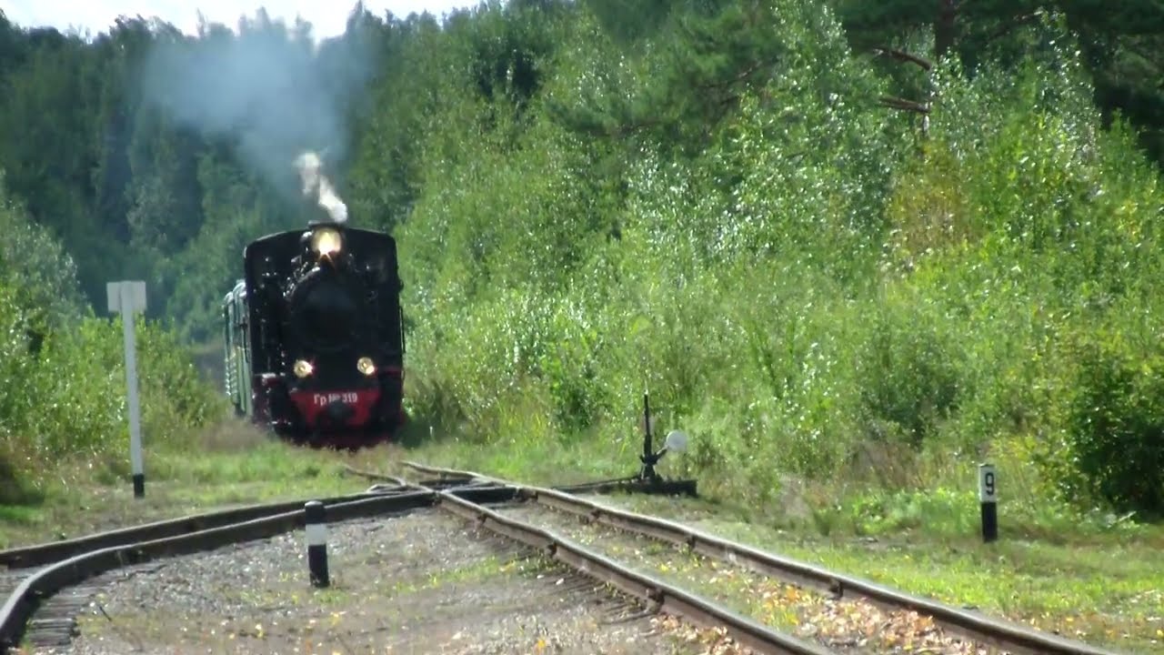 Bānītis pienāk Kalnienas stacijā 04.09.21.