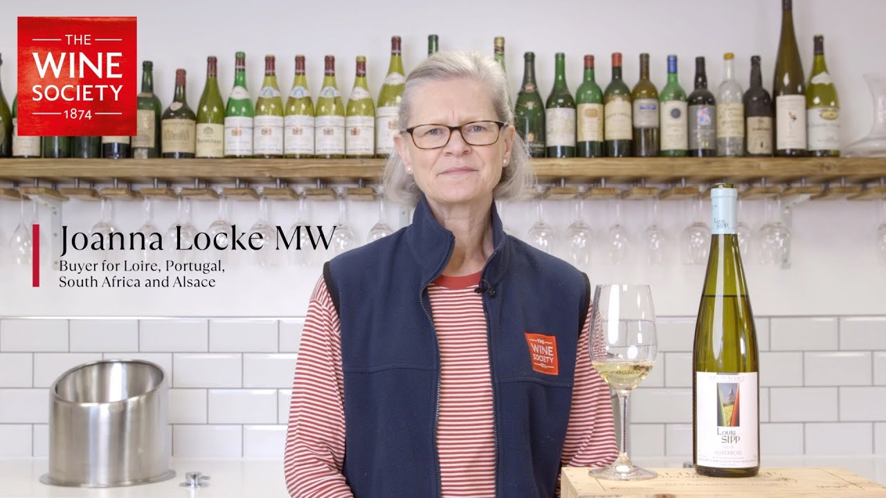 Alsace Auxerrois, Louis Sipp