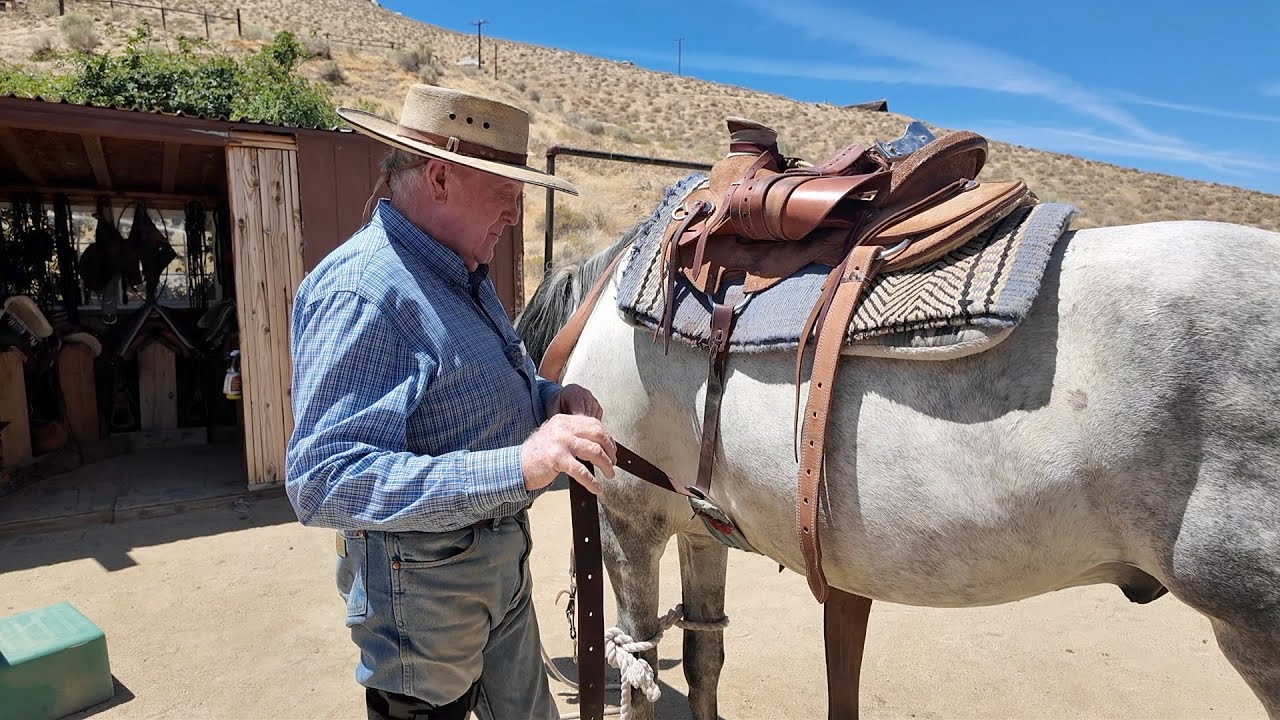 The Basics of Saddling a Horse