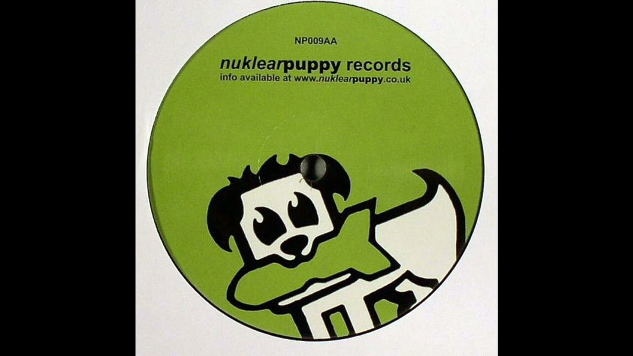 Jason Cortez - Tranzition