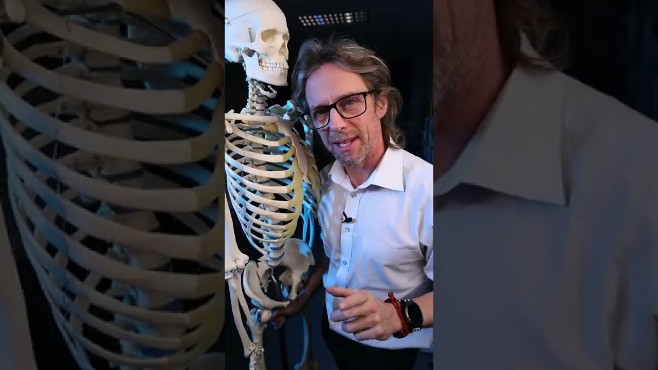 Kt&oacute;rej anatomii nie lubisz?