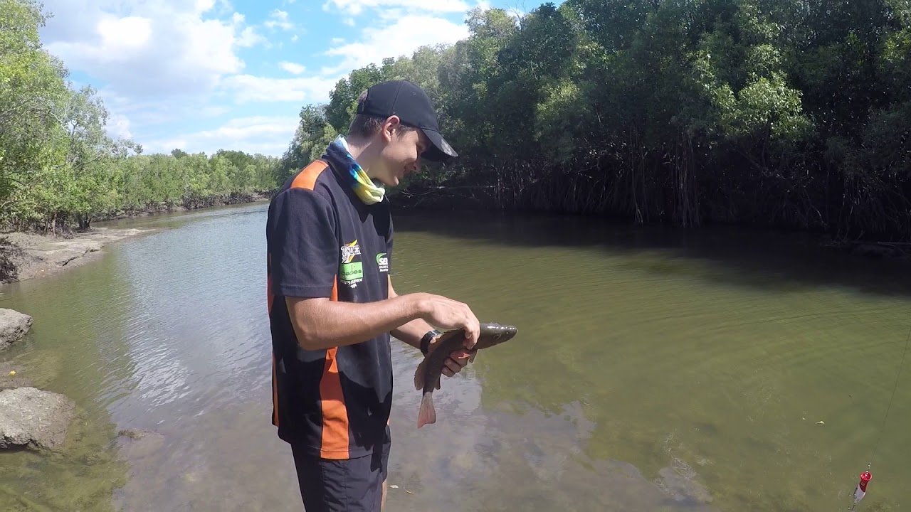 Barramundi & mangrove jack catch and realise episode: 1