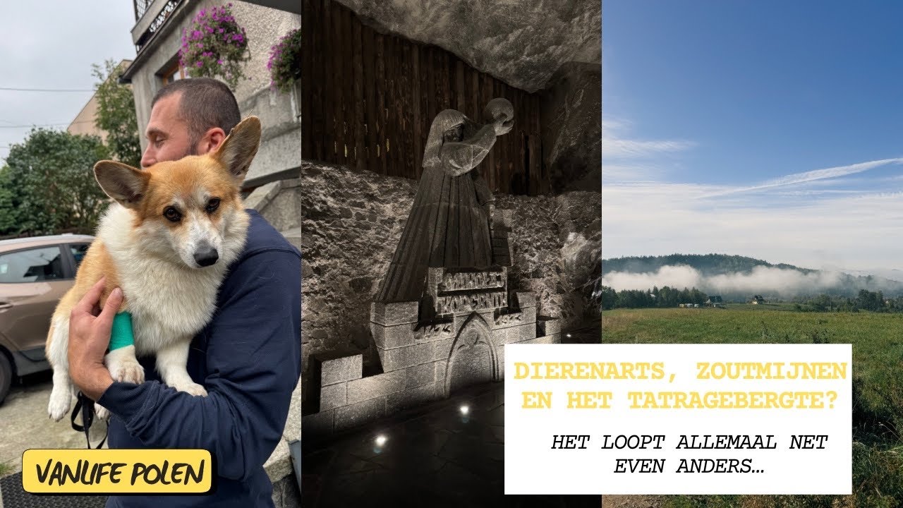 Dierenarts Krakau, Zoutmijnen Wieliczka en de Poolse natuur -VANLIFE POLEN- Roadtrip Europa vlog #4