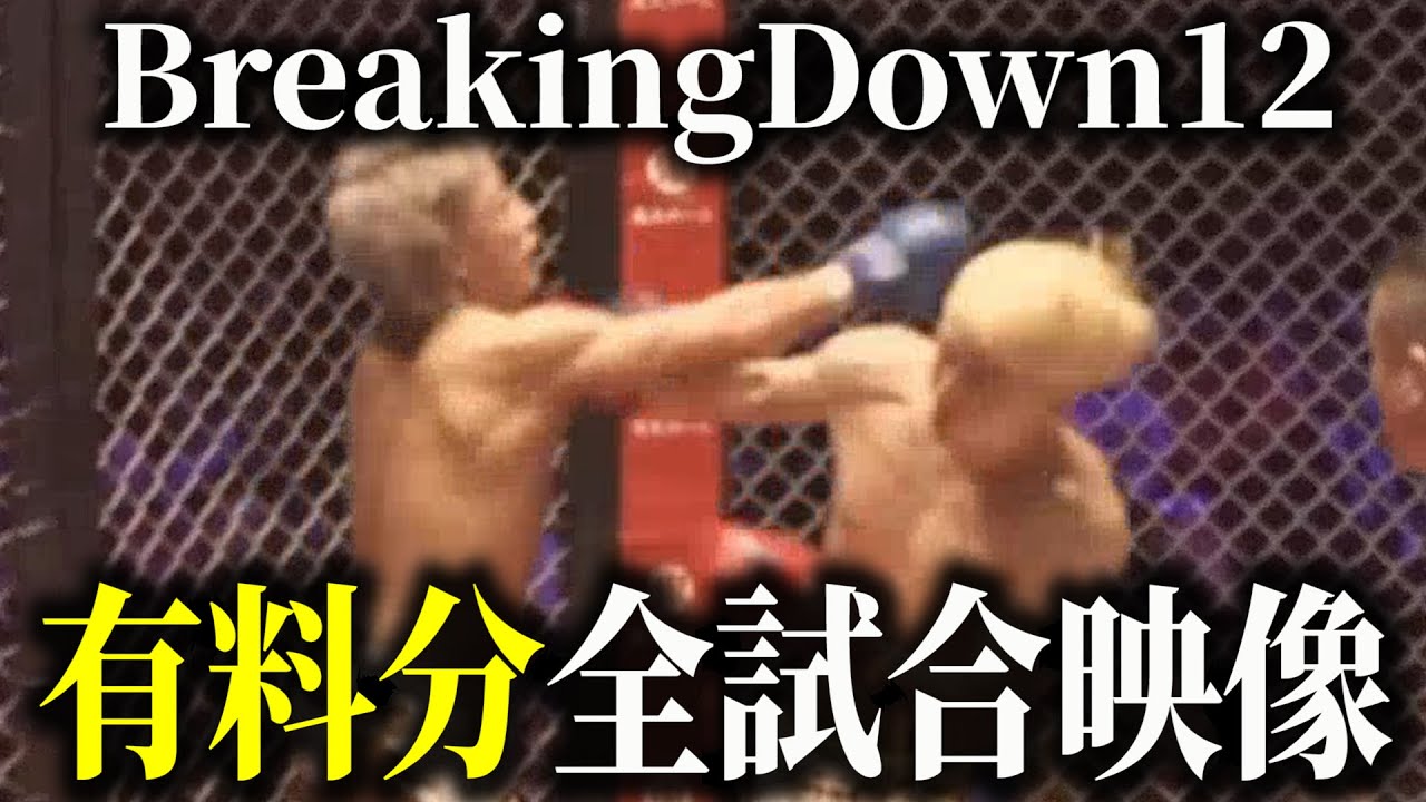 BreakingDown12全試合映像公開【ブレイキングダウン】【朝倉未来】