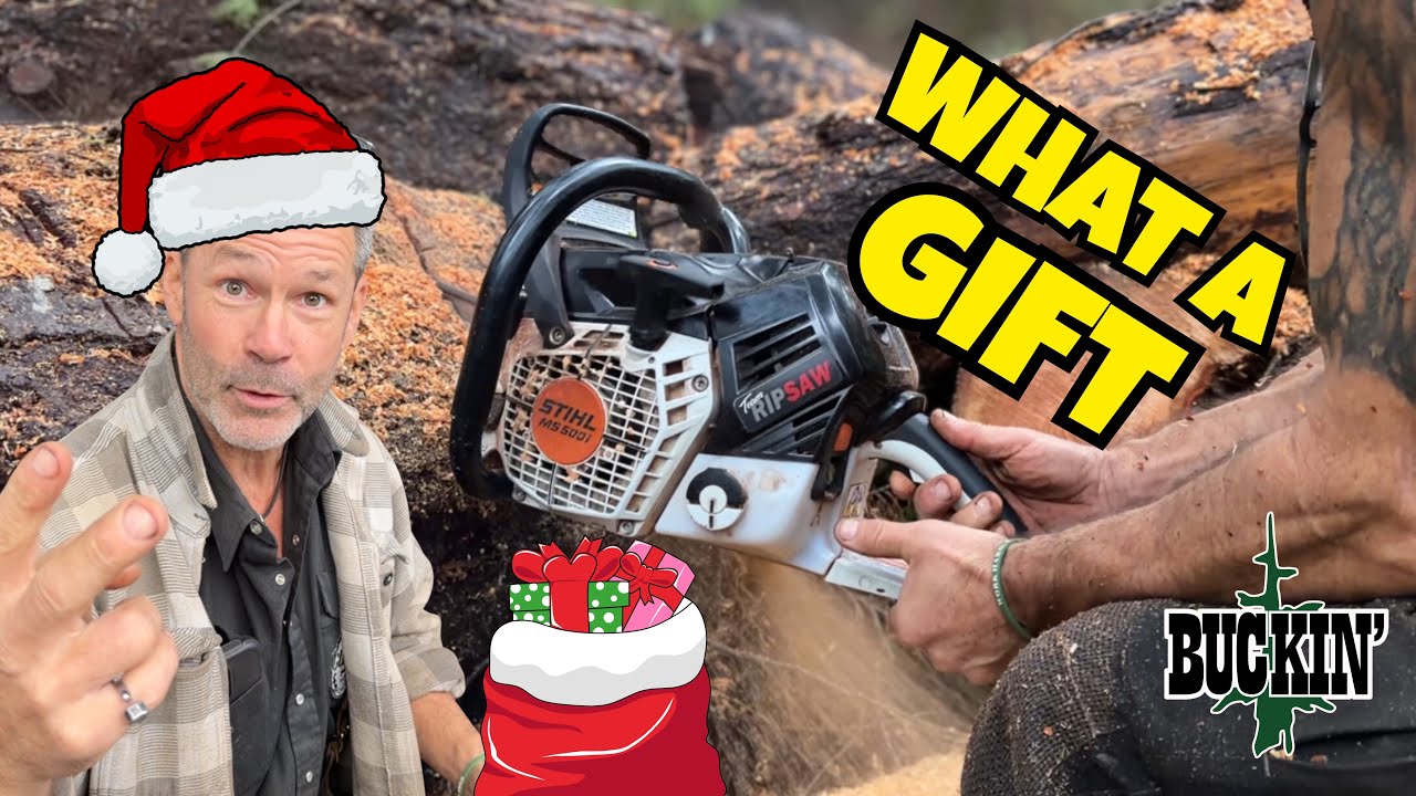 A Christmas miracle, This one is different!