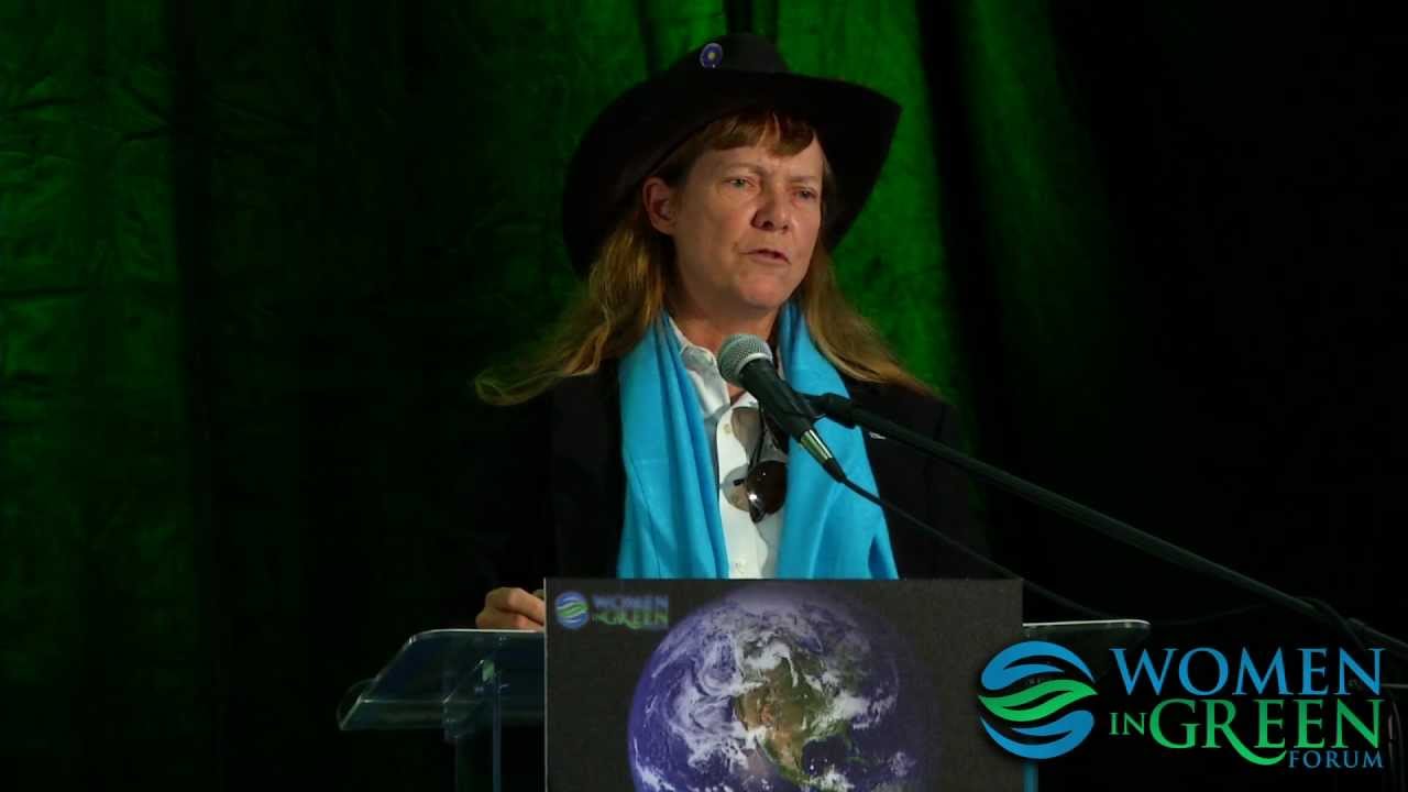 L. Hunter Lovins - The Business Case for Sustainability & The Green Economy