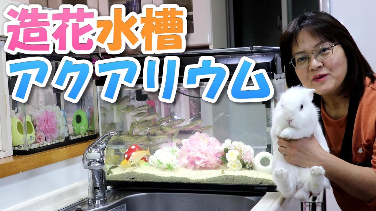 造花アクアリウム水槽レイアウト【100均】