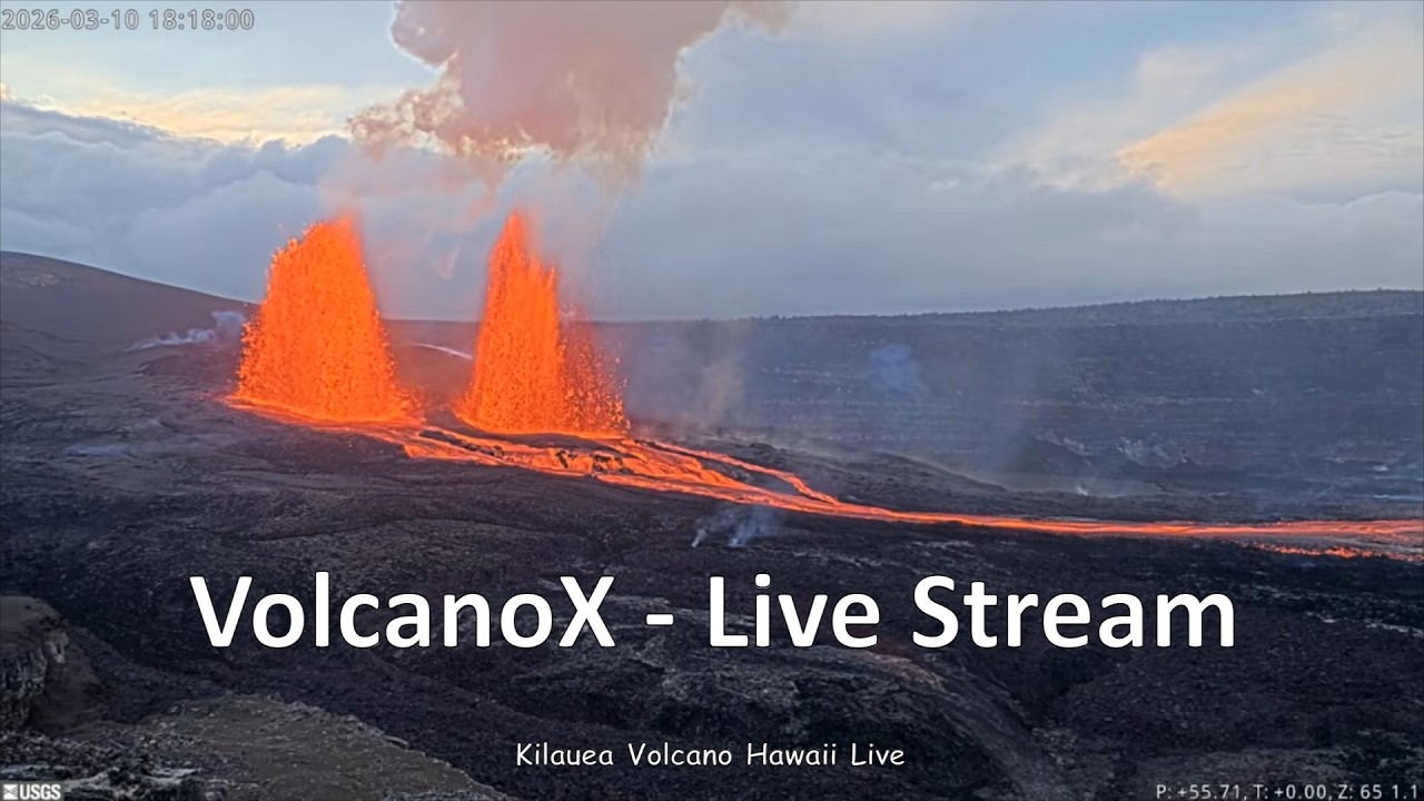 DrFox2000  - VolcanoX Live Stream Recording March 11, 2026 part 1