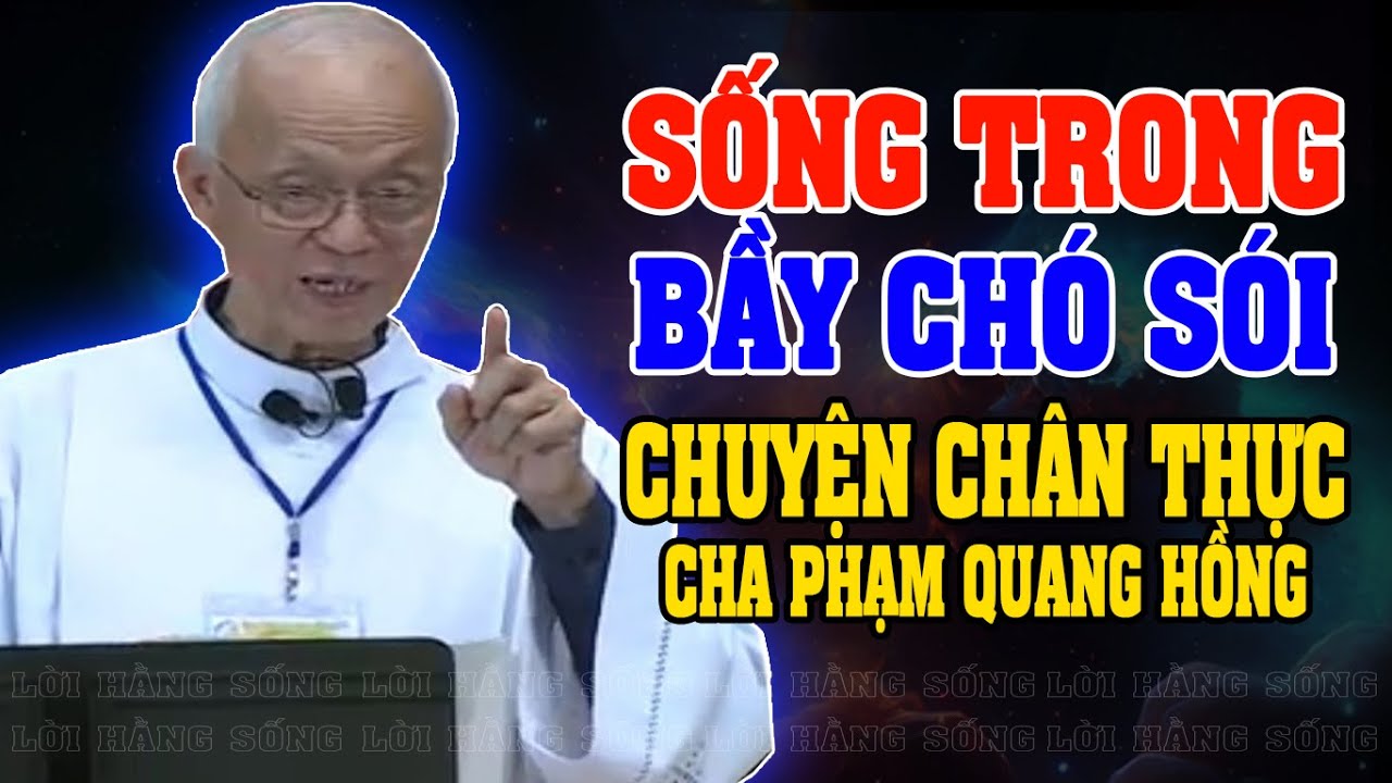SỐNG TRONG BẦY SÓI |  Bài giảng SÂU SẮC của LM Phạm Quang Hồng.