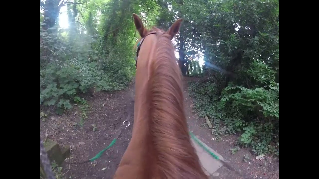 Come ride with me 25/7/24 Glodwick lows through park bridge 1/6