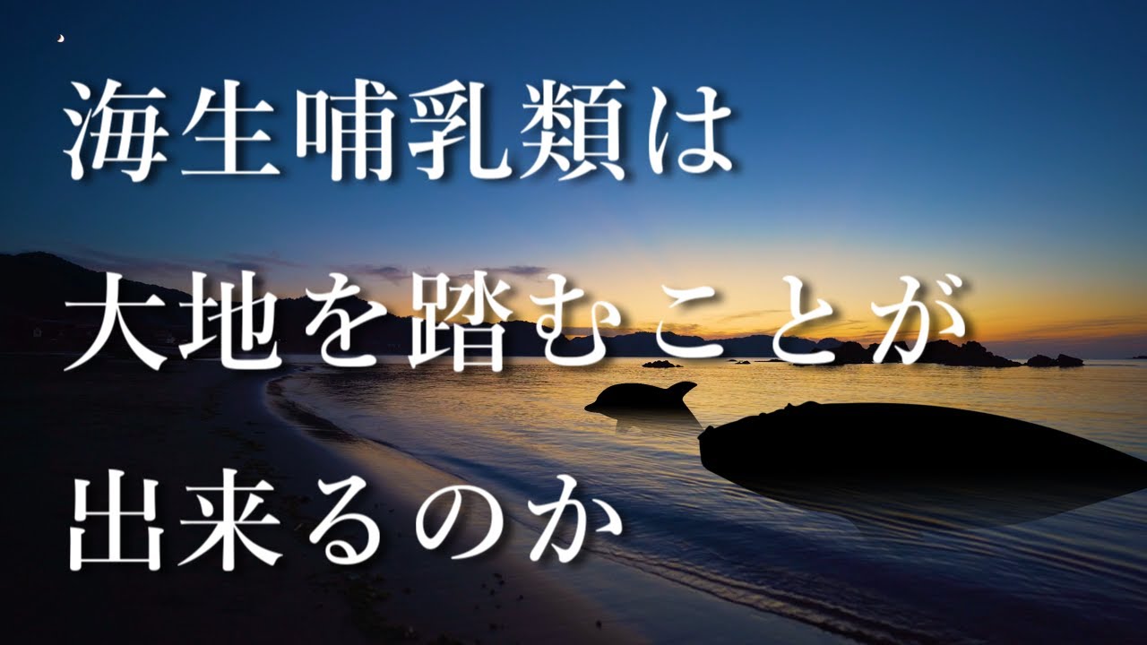 【雑学】海生哺乳類 ｜ 進化を重ねても、二度と上陸することは叶わない理由