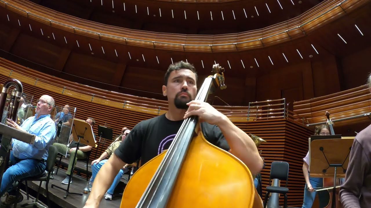 Strauss - Ein Heldenleben - Rehearsal 9 Bass Excerpt - In Context with Orchestra