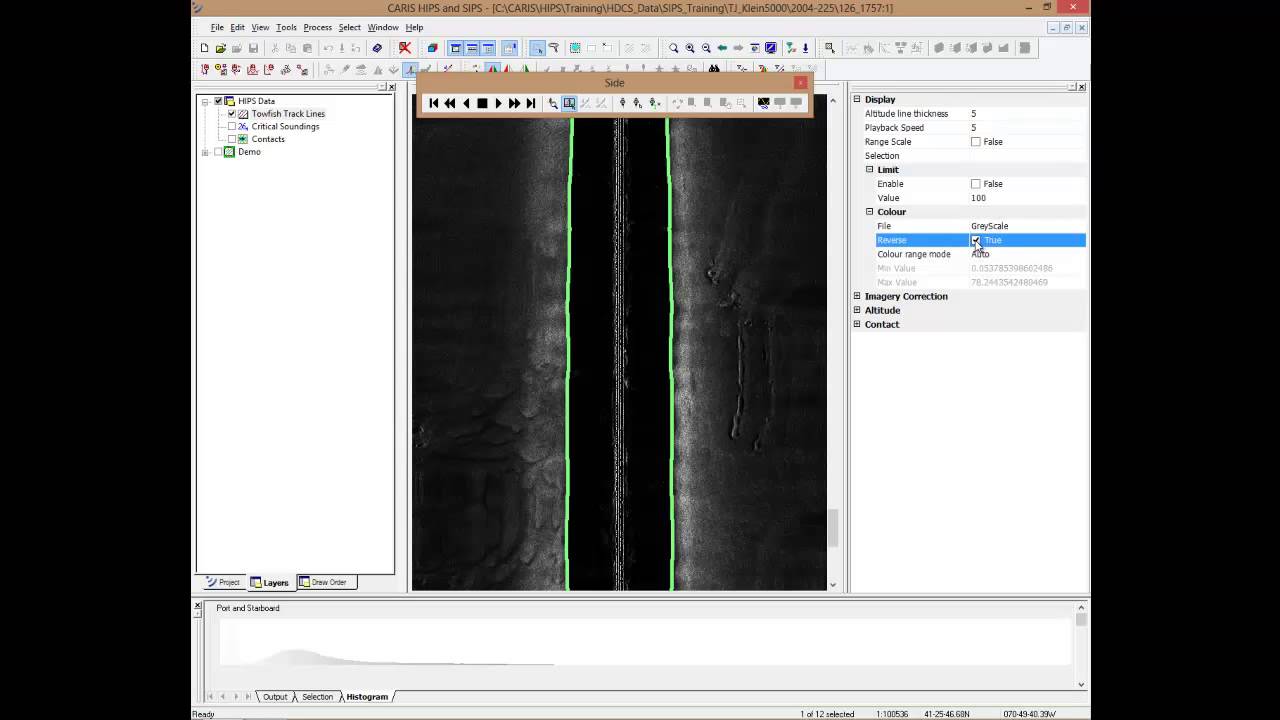 Side scan sonar data processing using CARIS HIPS and SIPS 8.1