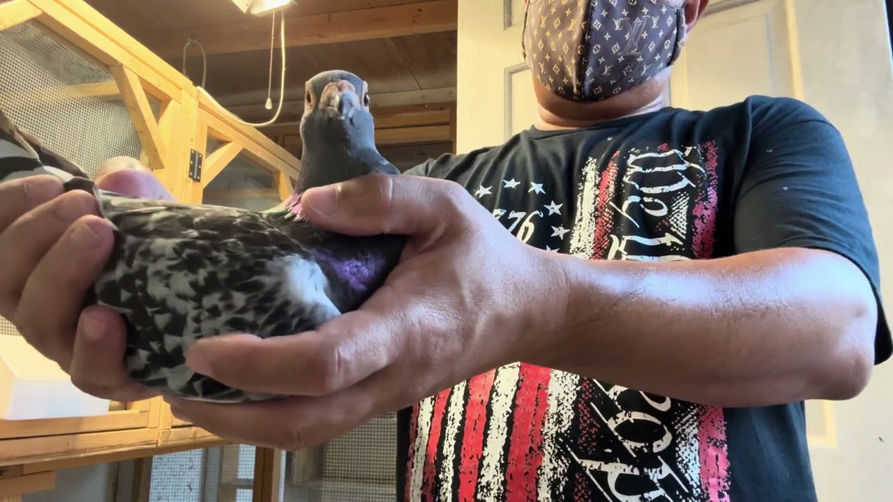 Parting ways with some birds.