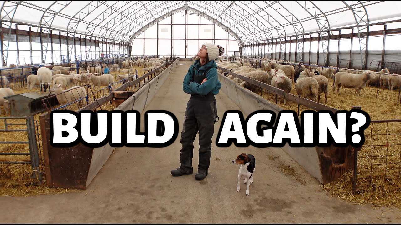 BUILDING A NEW SHEEP BARN?? ~ our current sheep barn design (the good, the bad & would we do AGAIN?)