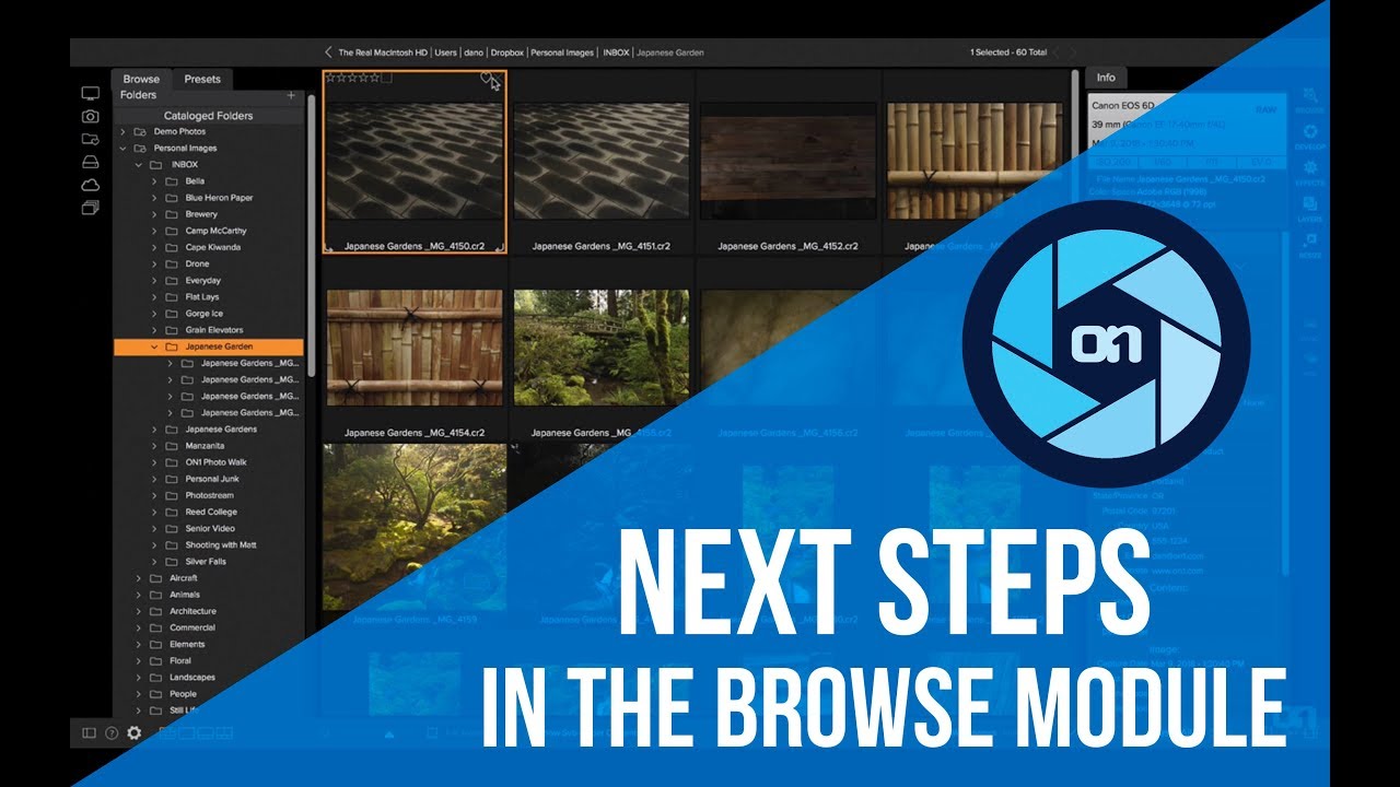 Next Steps in Browse: Importing and Organizing – ON1 Photo RAW