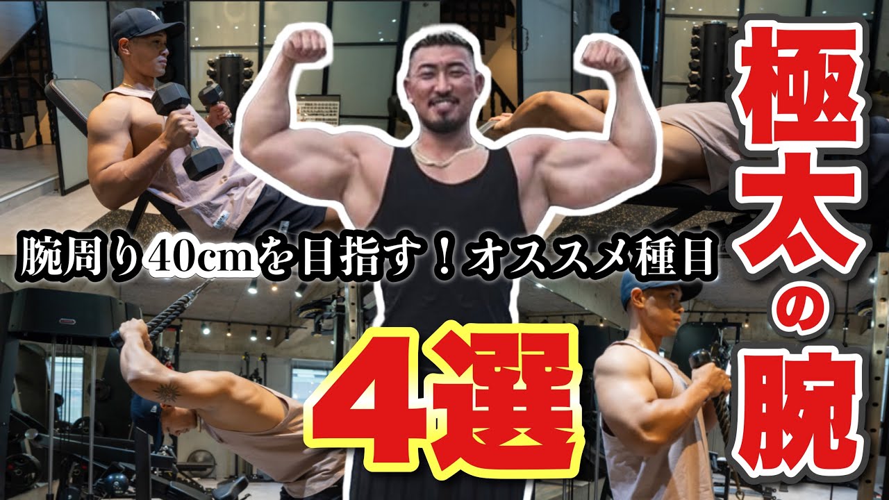 腕周り40cmを最短で目指すための種目【女性向け解説あり】