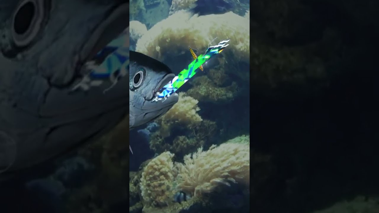 Fishing Master 3D 1.9