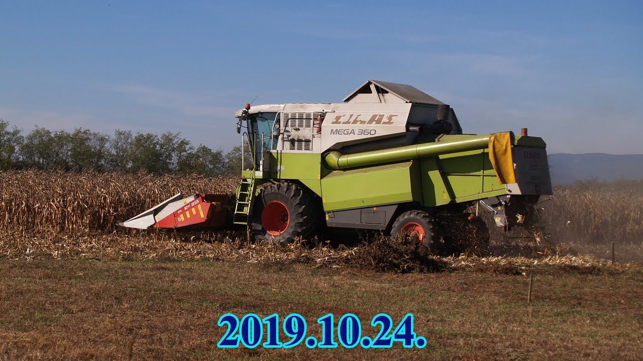│2019.10.24.│Claas Mega 360│Kukorica aratás│Corn harvest│