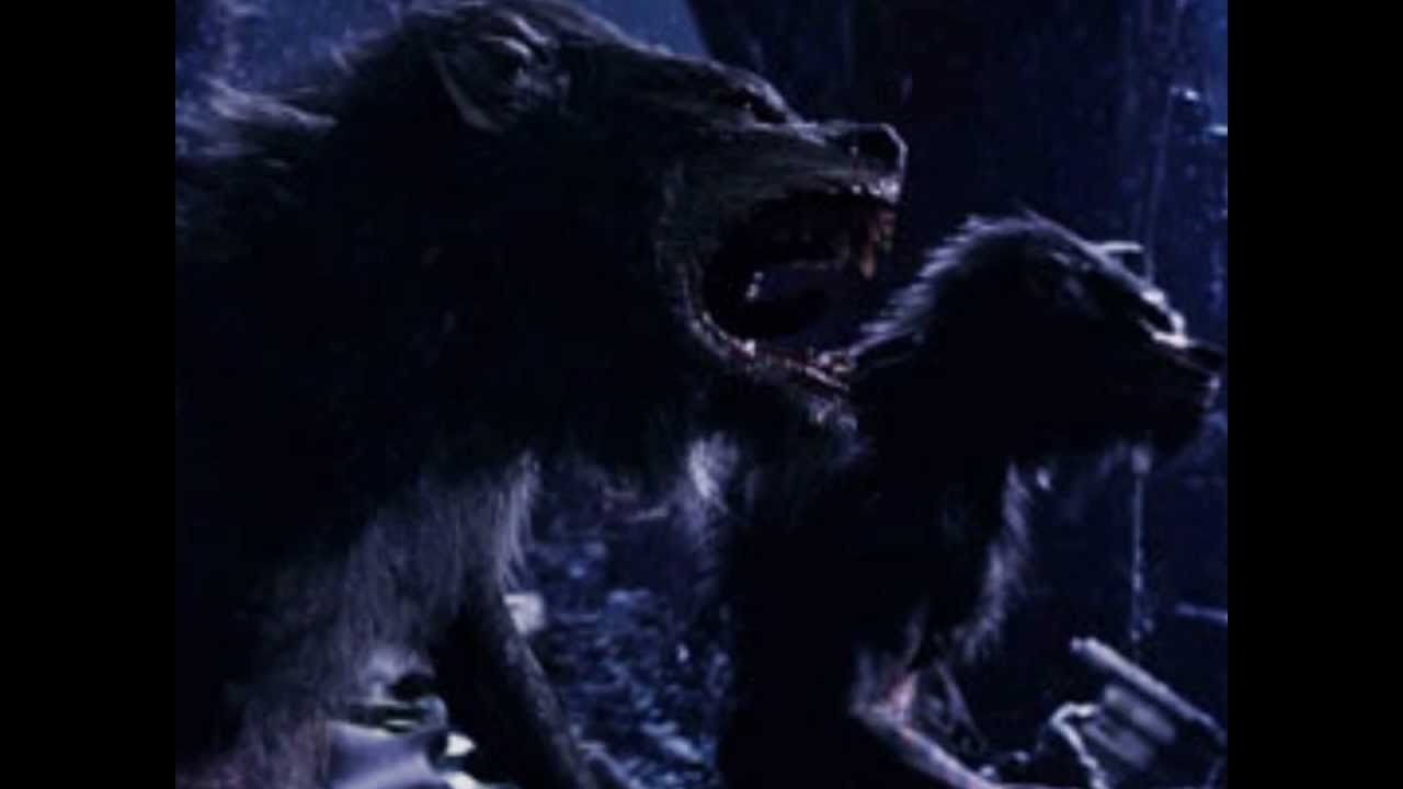 Werewolf, Baby! : Rob Zombie