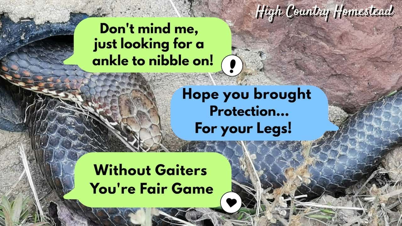Are Snake Gaiters Worth It? – Here’s the Verdict!