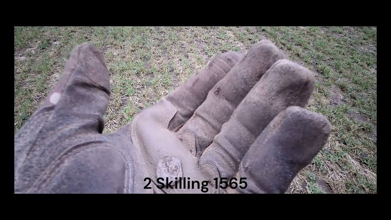 Den Fede Sølvmønt