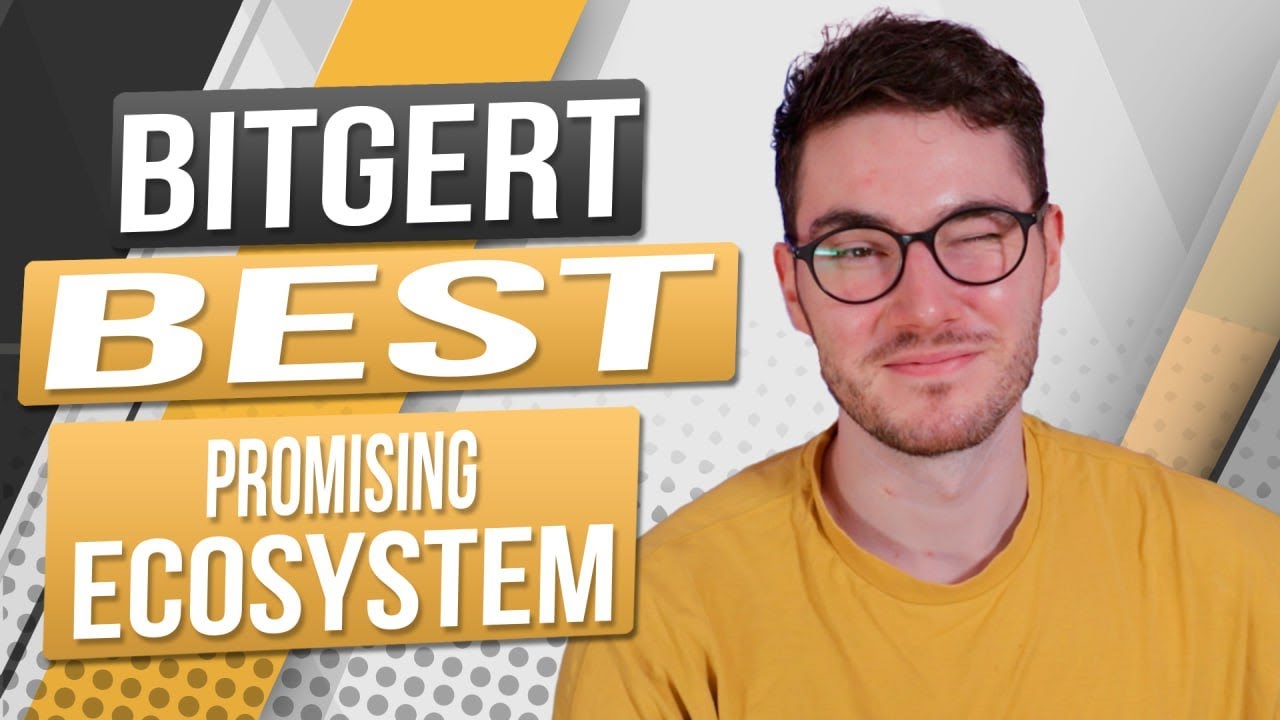 🔥 Bitgert: Digital Asset for Growth!