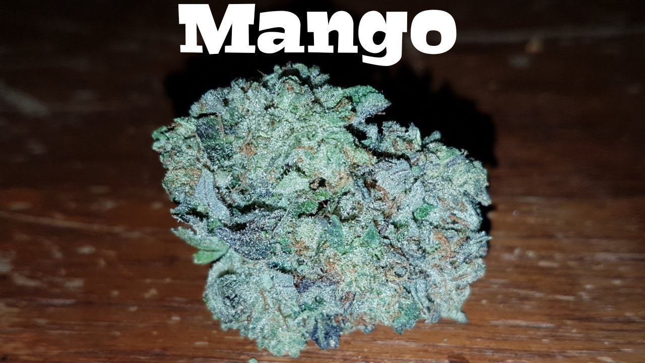 Strain Review - Mango
