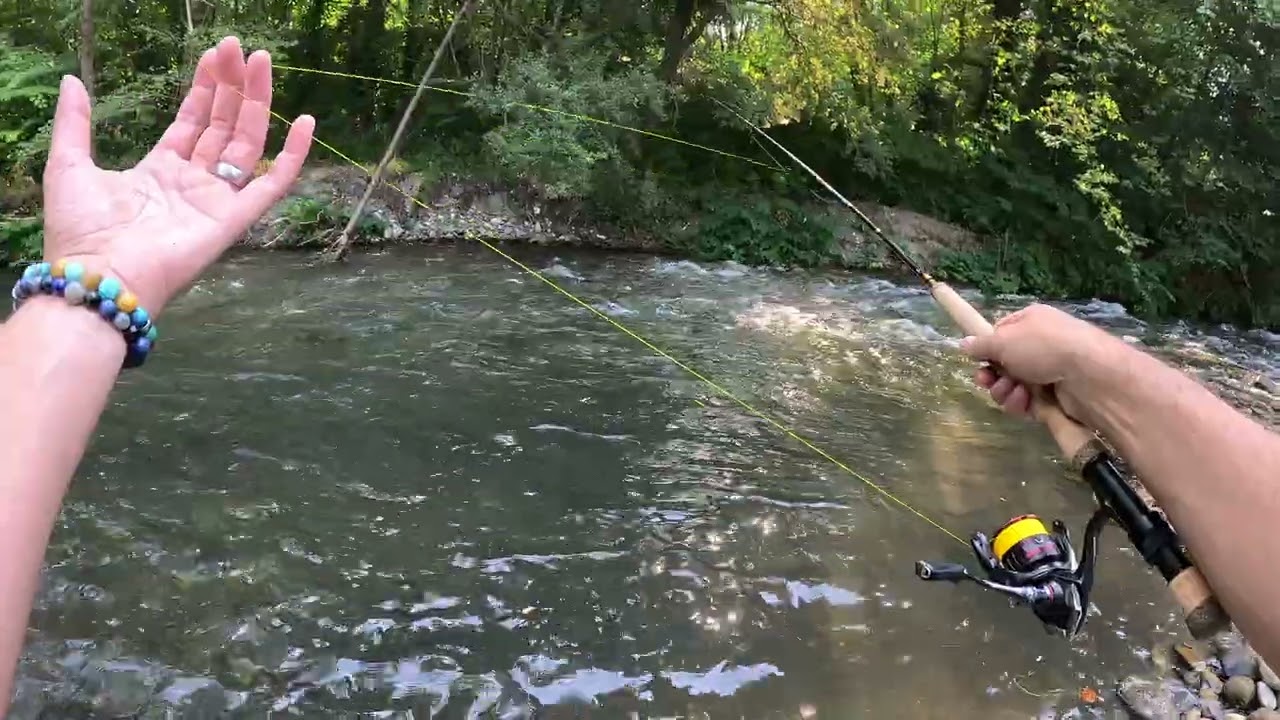Petite Sortie du moi d'aout !