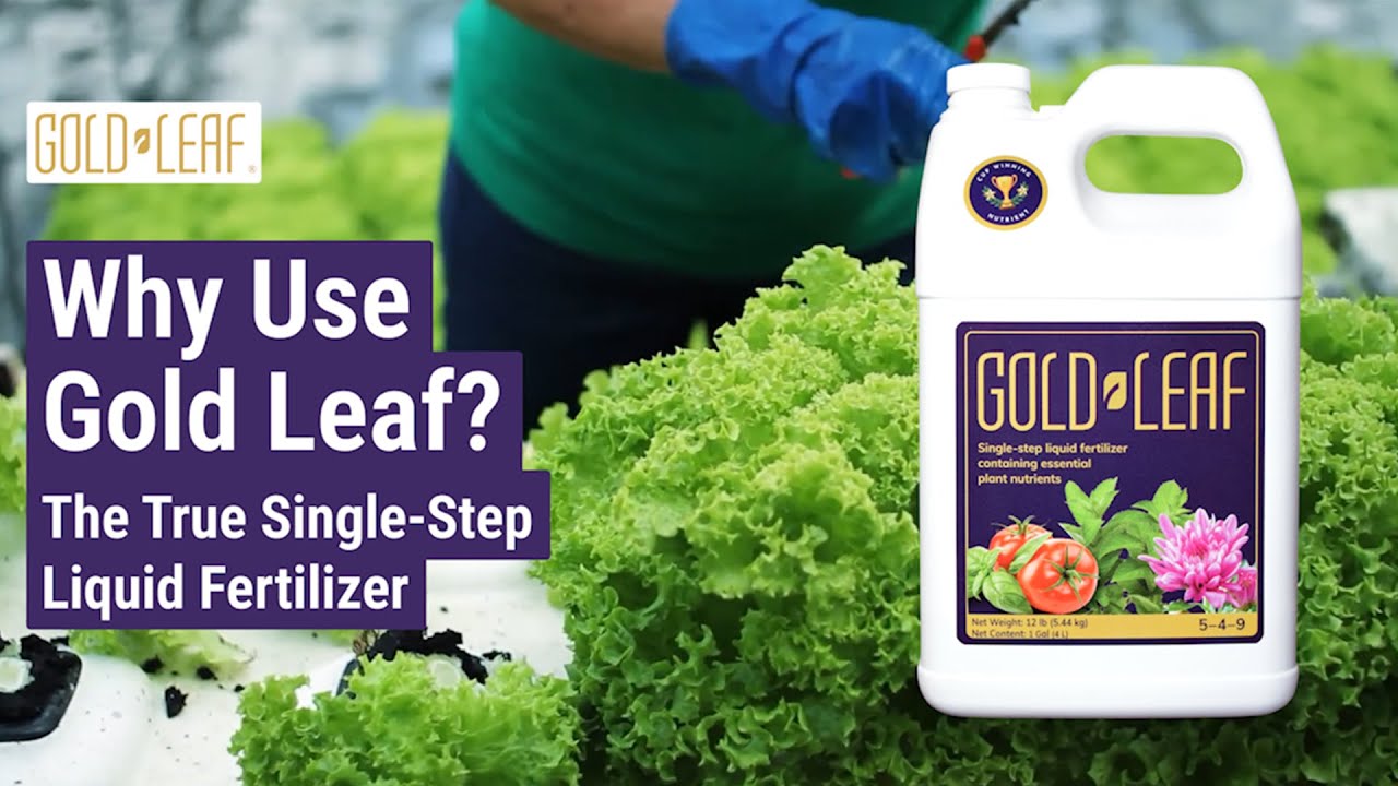 Why Use Gold Leaf? The True Single-Step Liquid Fertilizer for Thriving Plants