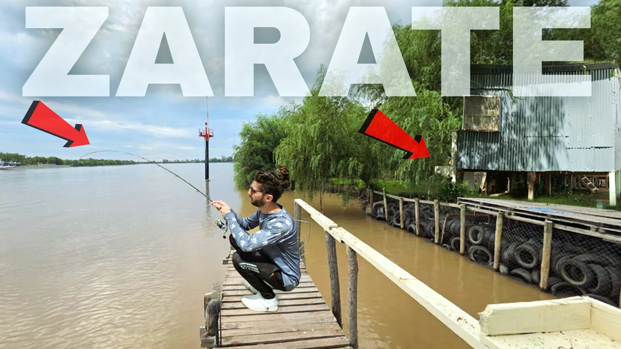 HERMOSA PESCA EN ZARATE, PRIMER PUENTE, TERRIBLE LUGAR NUEVO CON REFUGIO, SOMBRA Y PROFUNDO!