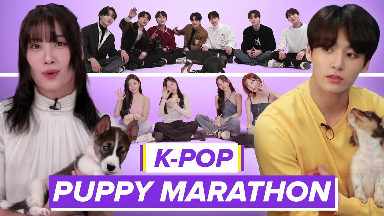 Every K-Pop Group Doing The Puppy Interview!