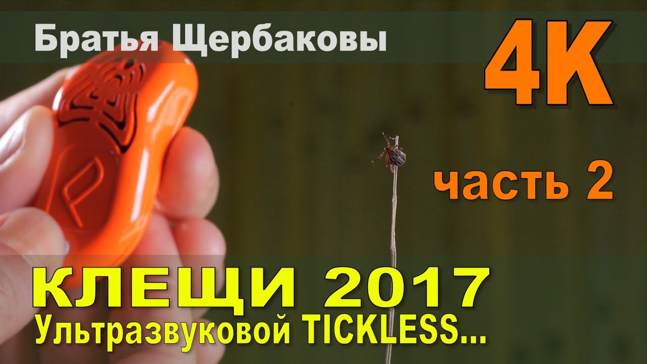 КЛЕЩИ. Ультразвуковой отпугиватель TICKLESS. Плохая сказка или как дурят нашего брата...