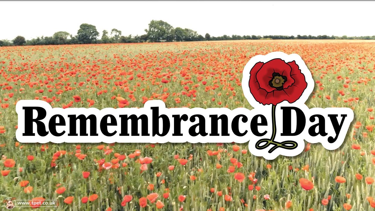 Remembrance Day For Kids | 2 Minute Silence | Photo Montage & Last Post