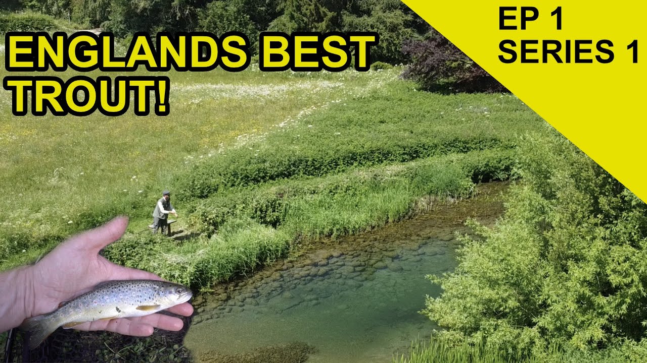 Best Brown Trout in England: Species Hunt  (EPISODE 1)