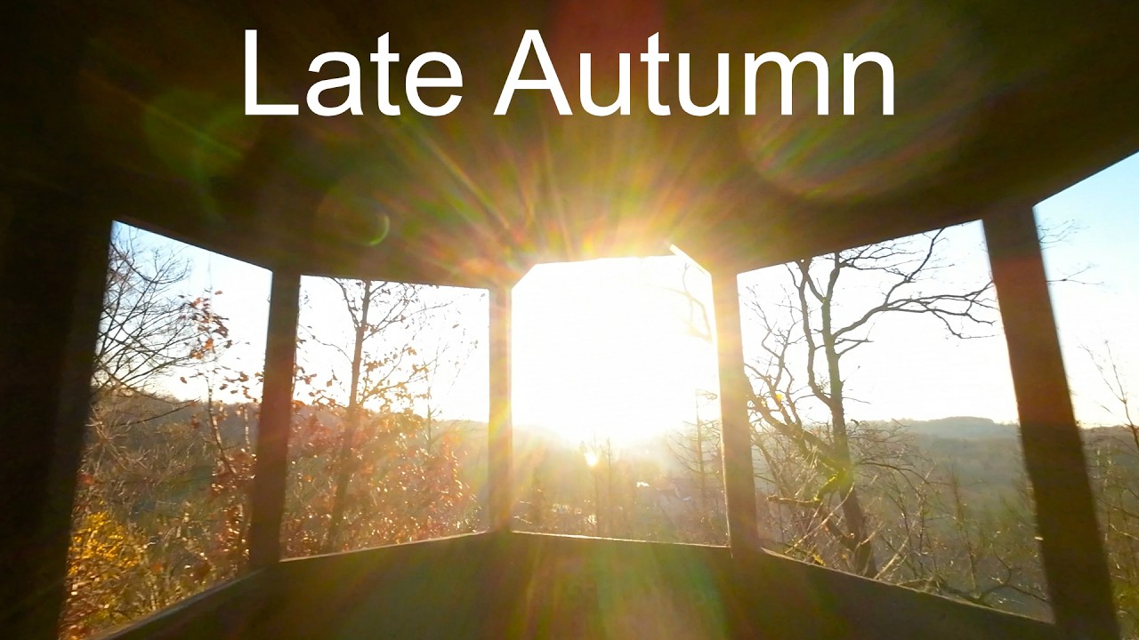Golden Hour - Late Autumn Harz Mountains hike #cinematicfpv