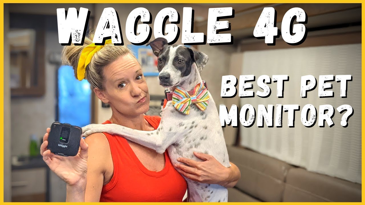 🐕Waggle Pet Monitor: Does it Really Work for Nomad RV Life? | Newstates in the States