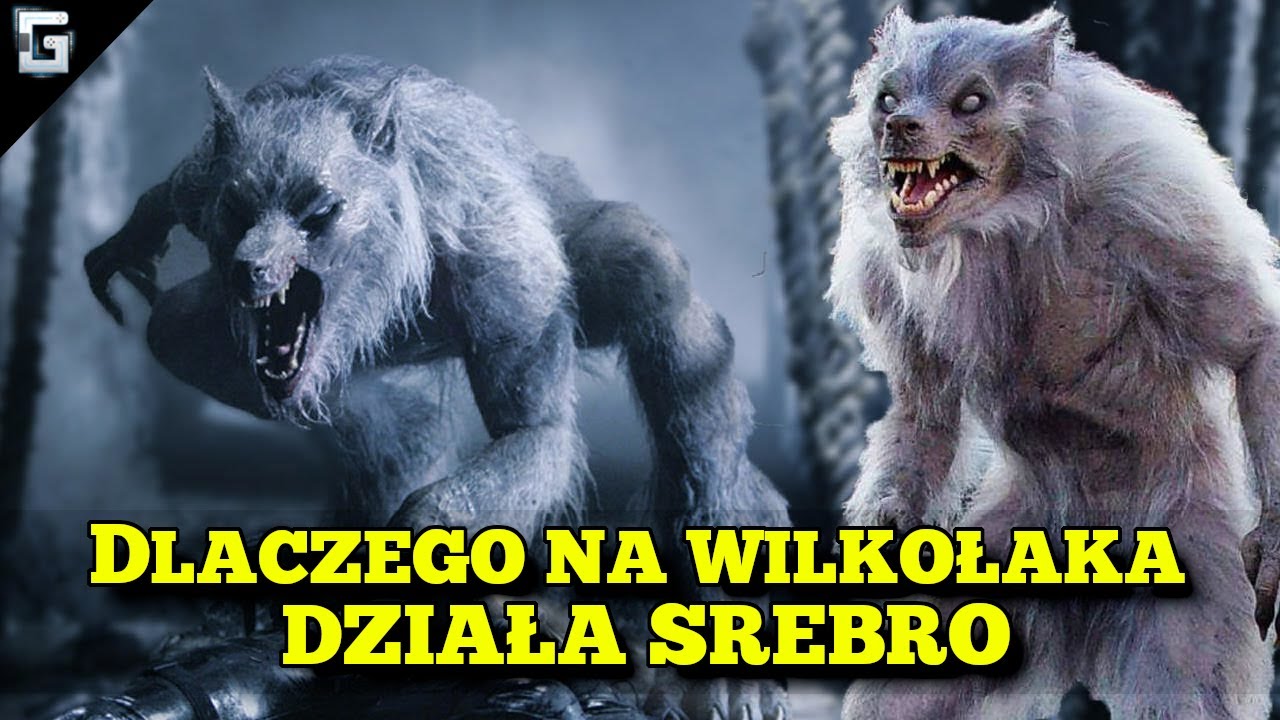 Dlaczego na Wilkołaki działa Srebro?