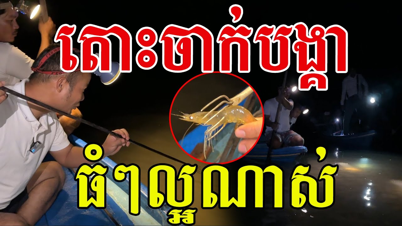 ធំៗល្អណាស់បងប្អូន ដល់ខែរកបង្គាហើយ ធម្មជាតិស្រស់ថ្មីៗ