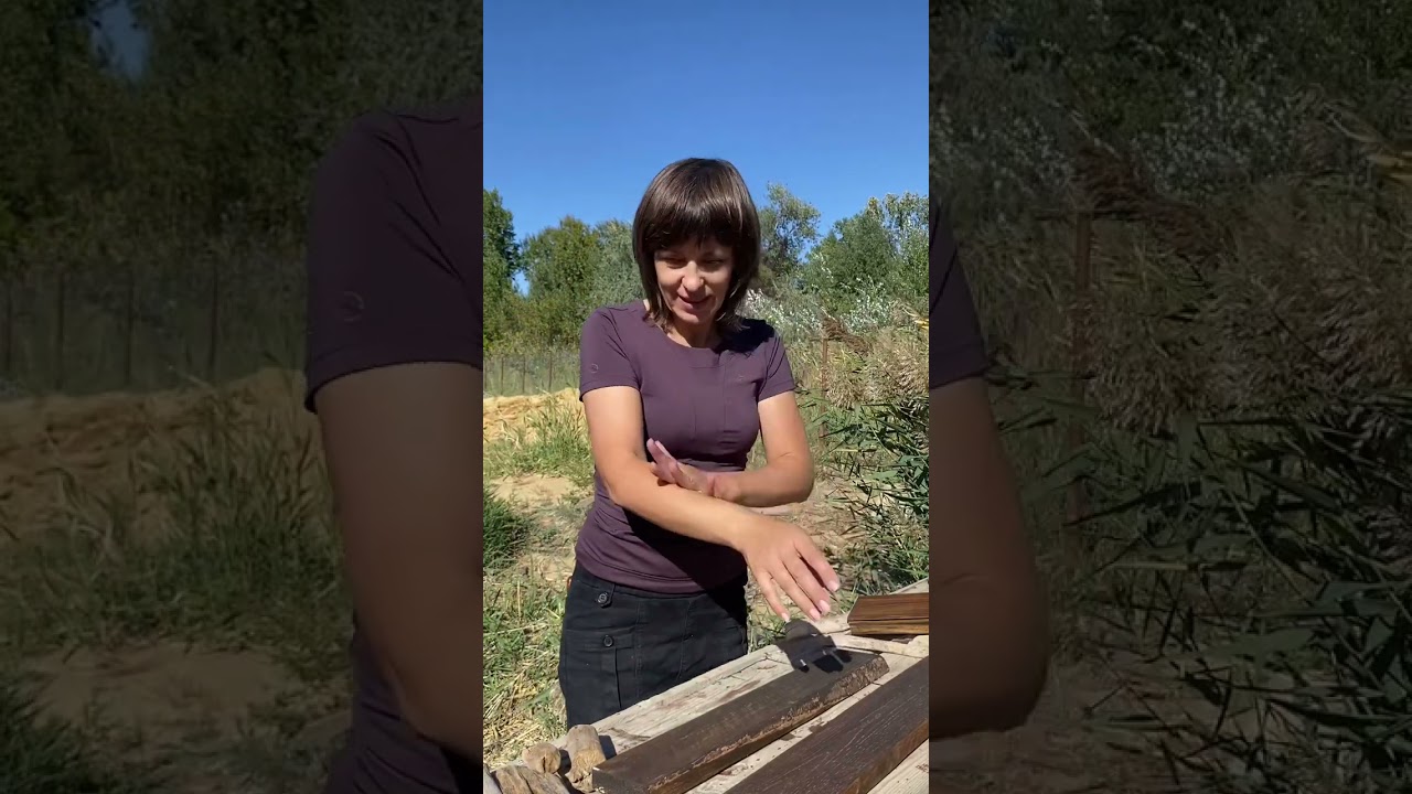 Что можно сделать из коряг