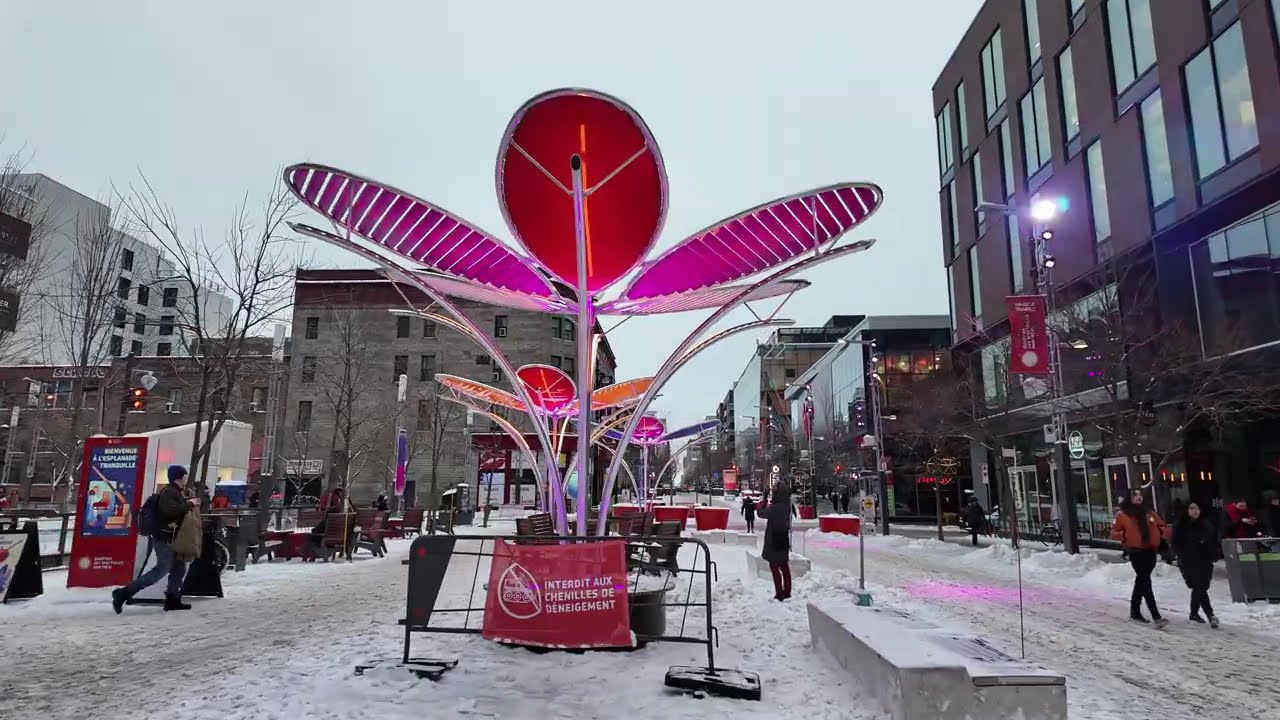 POV Winter Walk in Montréal ❄️ | Ice Skating Rink & City Life | 4K