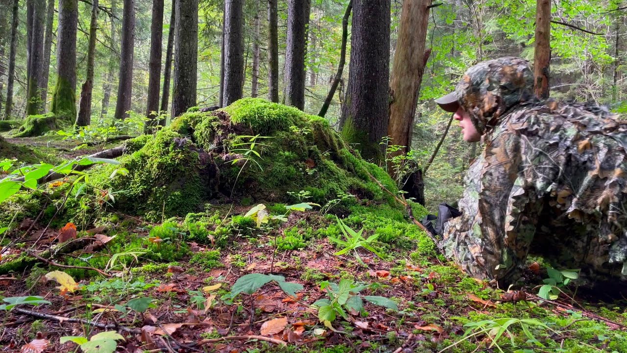 The approach - Mobile Film Festival - Making Peace With Nature