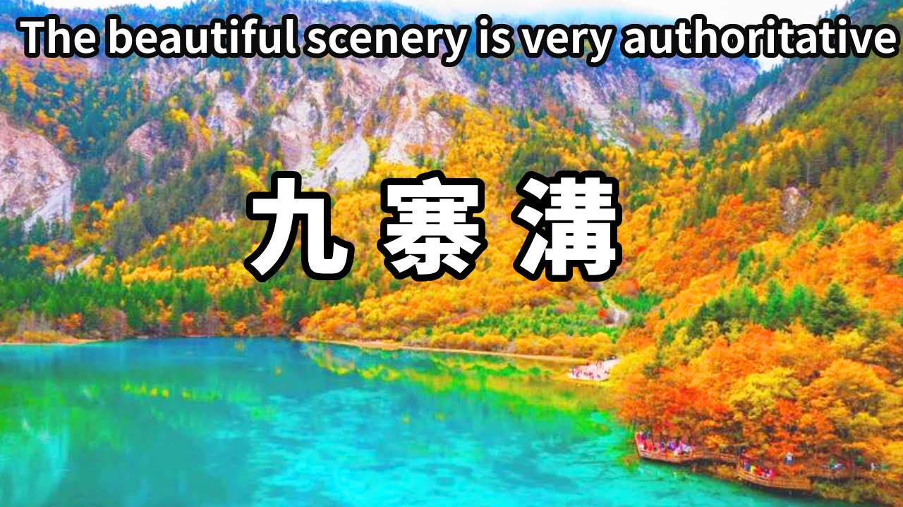 九寨歸來不看水！九寨溝一步一風景，果然美的很有權威，名不虛傳【大海去旅行】