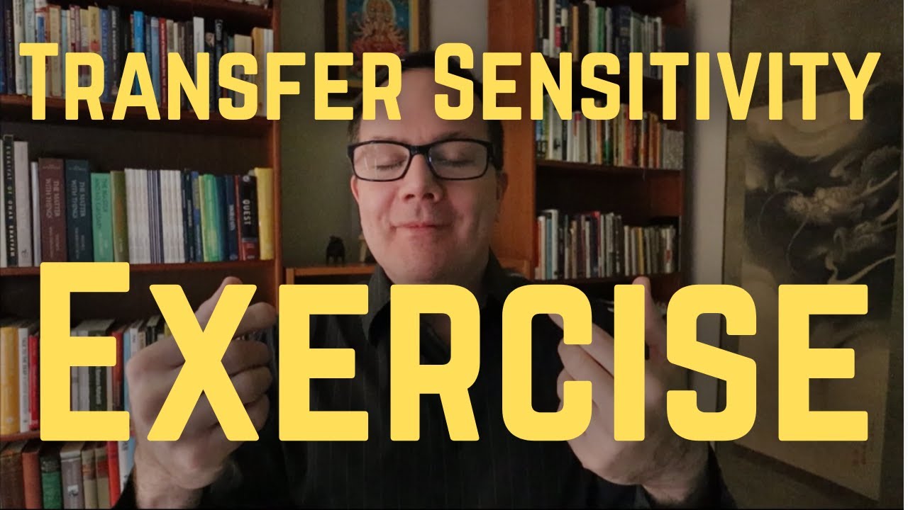 Transfer Sensitivity Exercise - Yogi Explains