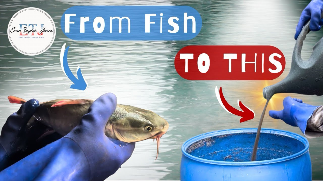 Let&rsquo;s Make FISH FERTILIZER! | How-To!