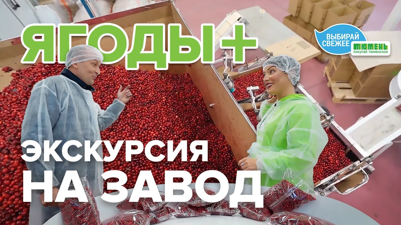 Как производят замороженные ягоды и грибы? Экскурсия на ТПК «Ягоды Плюс» с Анастасией Комраковой