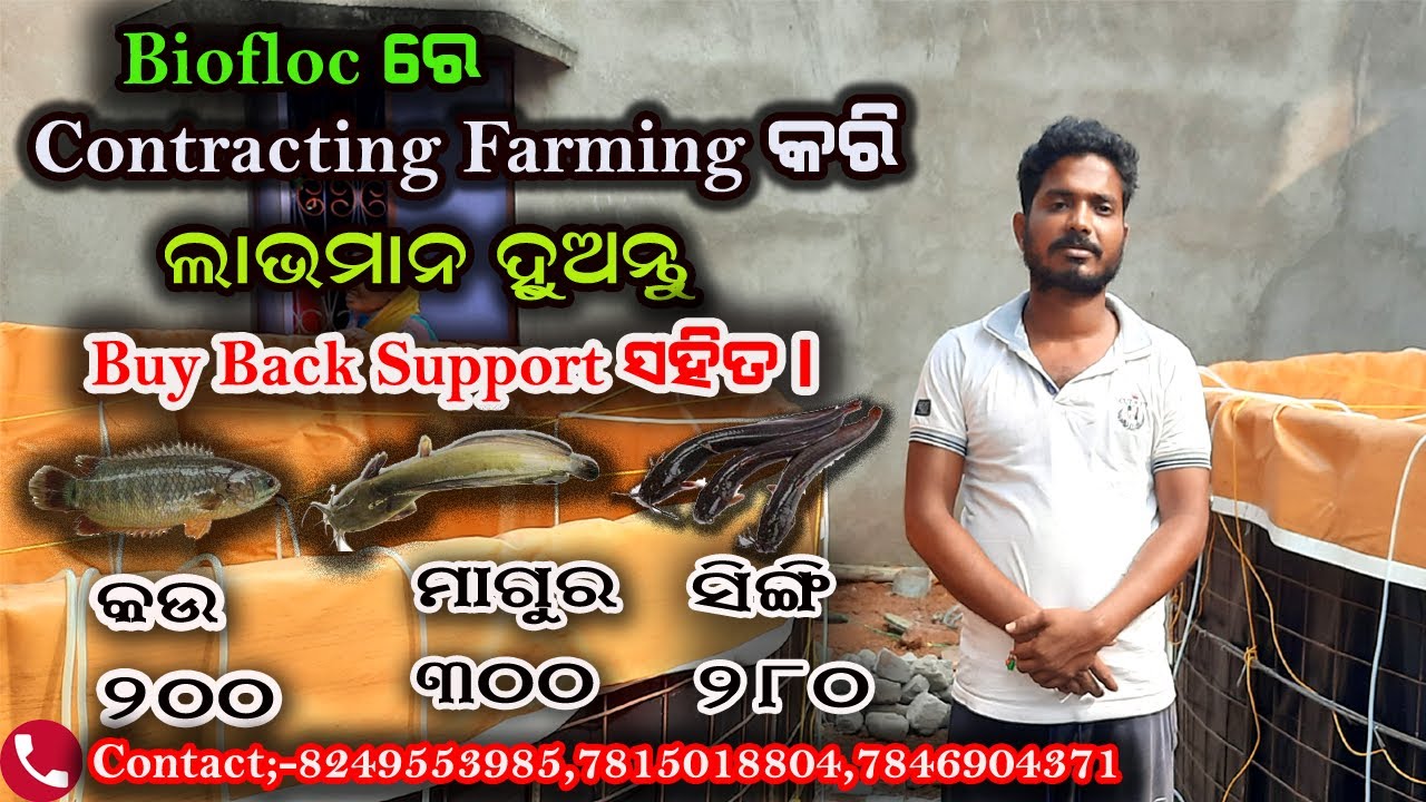 Biofloc ରେ Contracting Farming//Buy Back Support ସହିତ//